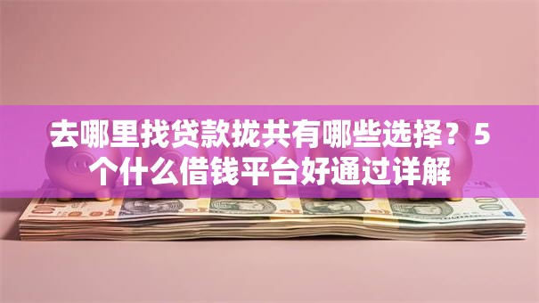 去哪里找贷款拢共有哪些选择?5个什么借钱平台好通过详解 去哪里找贷款拢共有哪些选择?5个什么借钱平台好通过详解