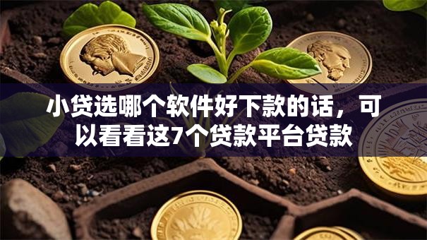 小贷选哪个软件好下款的话，可以看看这7个贷款平台贷款