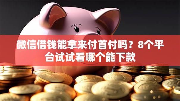 微信借钱能拿来付首付吗？8个平台试试看哪个能下款