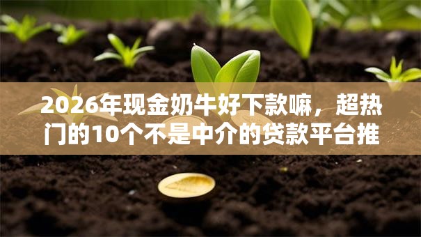 2026年现金奶牛好下款嘛，超热门的10个不是中介的贷款平台推荐