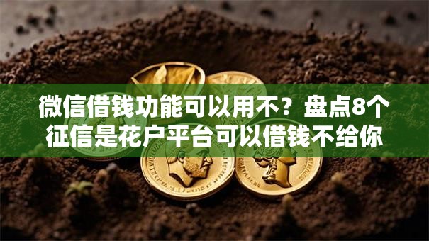 微信借钱功能可以用不？盘点8个征信是花户平台可以借钱不给你参考