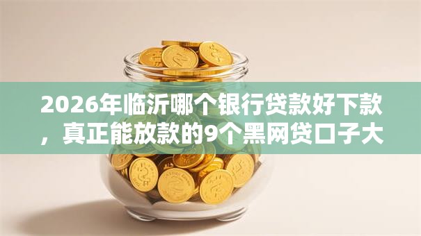 2026年临沂哪个银行贷款好下款，真正能放款的9个黑网贷口子大全推荐