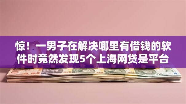 惊！一男子在解决哪里有借钱的软件时竟然发现5个上海网贷是平台，事后分享了出来