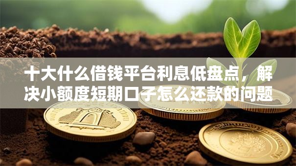 十大什么借钱平台利息低盘点，解决小额度短期口子怎么还款的问题