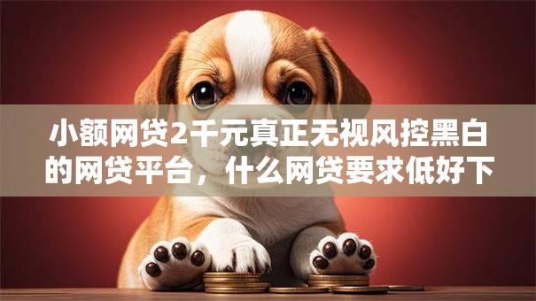 小额网贷2千元真正无视风控黑白的网贷平台，什么网贷要求低好下款的5个平台介绍