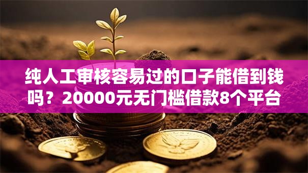 纯人工审核容易过的口子能借到钱吗？20000元无门槛借款8个平台推荐