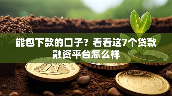 能包下款的口子？看看这7个贷款融资平台怎么样