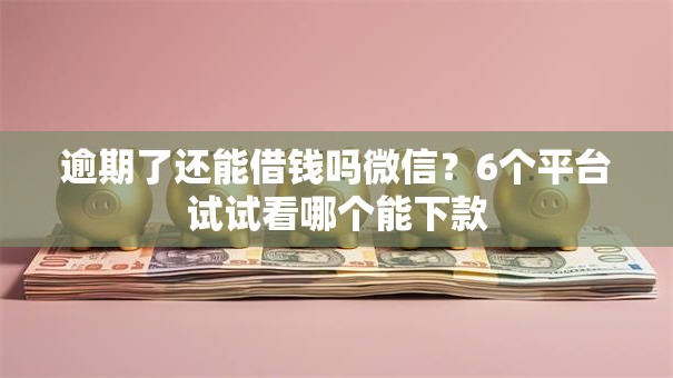 逾期了还能借钱吗微信？6个平台试试看哪个能下款