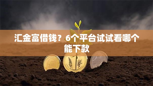 汇金富借钱？6个平台试试看哪个能下款