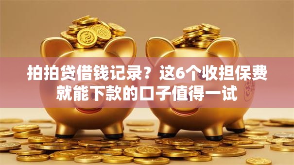 拍拍贷借钱记录？这6个收担保费就能下款的口子值得一试