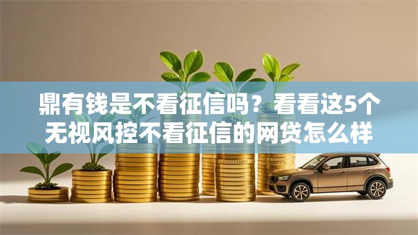鼎有钱是不看征信吗？看看这5个无视风控不看征信的网贷怎么样