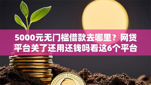 5000元无门槛借款去哪里？网贷平台关了还用还钱吗看这6个平台