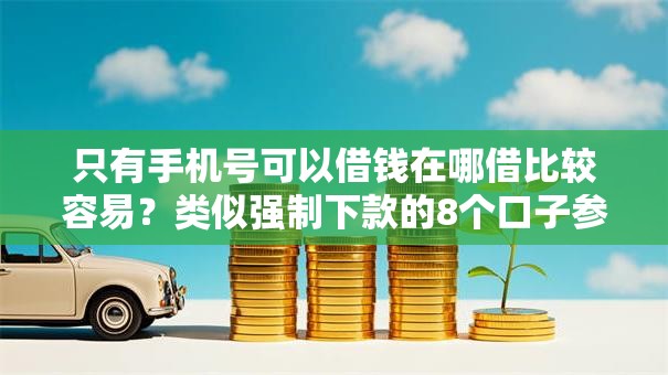 只有手机号可以借钱在哪借比较容易？类似强制下款的8个口子参考
