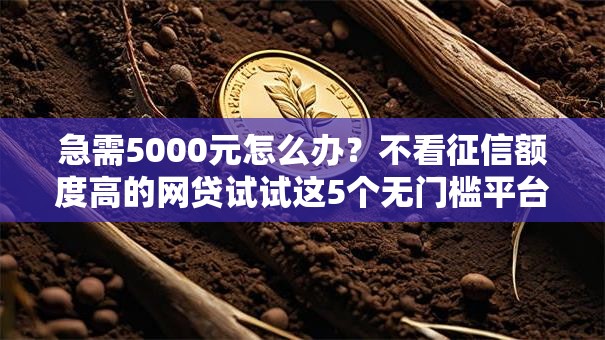 急需5000元怎么办？不看征信额度高的网贷试试这5个无门槛平台