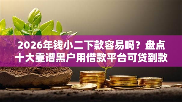 2026年钱小二下款容易吗？盘点十大靠谱黑户用借款平台可贷到款