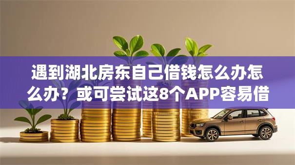 遇到湖北房东自己借钱怎么办怎么办？或可尝试这8个APP容易借款1万块的app