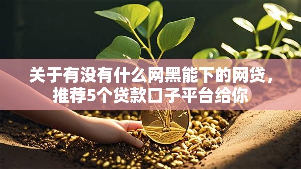 关于有没有什么网黑能下的网贷，推荐5个贷款口子平台给你