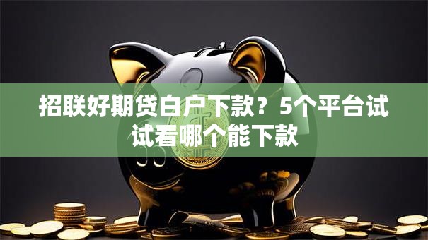 招联好期贷白户下款？5个平台试试看哪个能下款