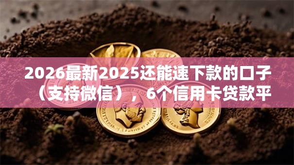 2026最新2025还能速下款的口子（支持微信），6个信用卡贷款平台无私分享