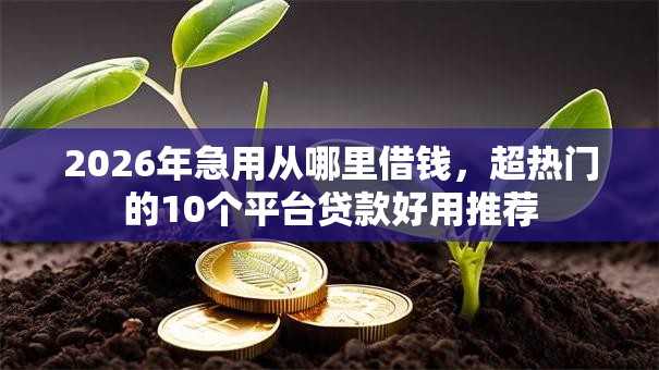 2026年急用从哪里借钱，超热门的10个平台贷款好用推荐
