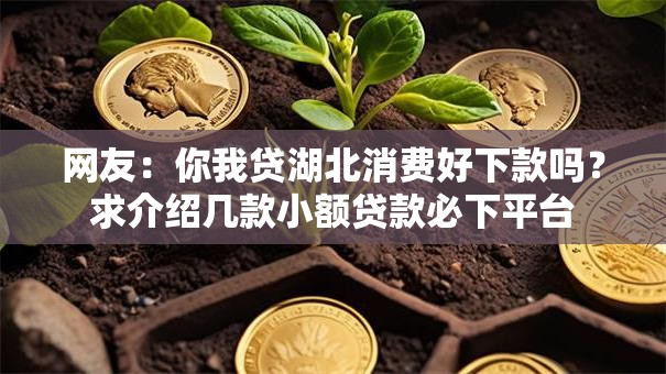 网友：你我贷湖北消费好下款吗？求介绍几款小额贷款必下平台