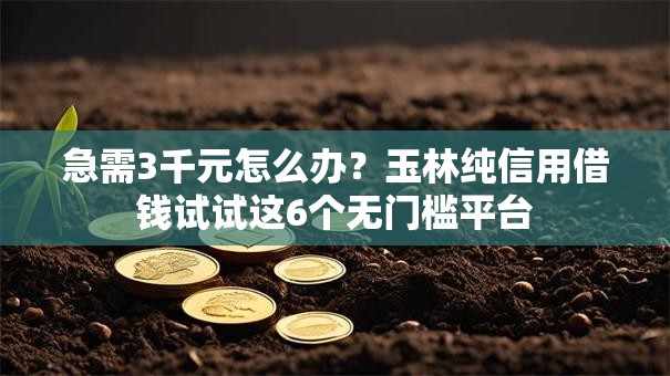 急需3千元怎么办？玉林纯信用借钱试试这6个无门槛平台
