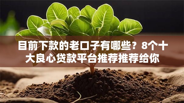 目前下款的老口子有哪些？8个十大良心贷款平台推荐推荐给你