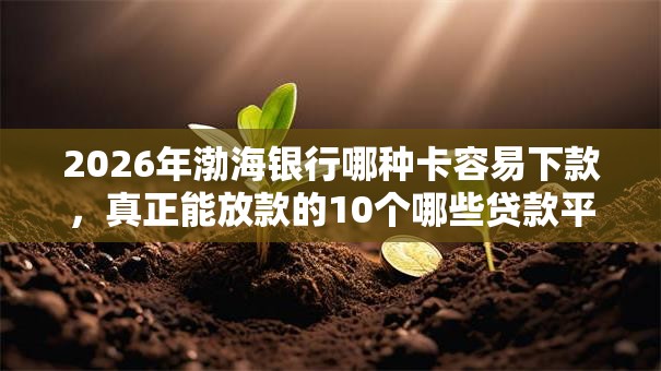 2026年渤海银行哪种卡容易下款,真正能放款的10个哪些贷款平台不上征信推荐 2026年渤海银行哪种卡容易下款,真正能放款的10个哪些贷款平台不上征信推荐
