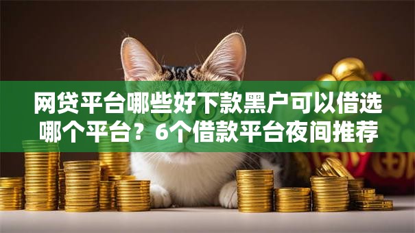网贷平台哪些好下款黑户可以借选哪个平台？6个借款平台夜间推荐