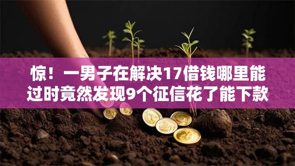 惊！一男子在解决17借钱哪里能过时竟然发现9个征信花了能下款的平台，事后分享了出来