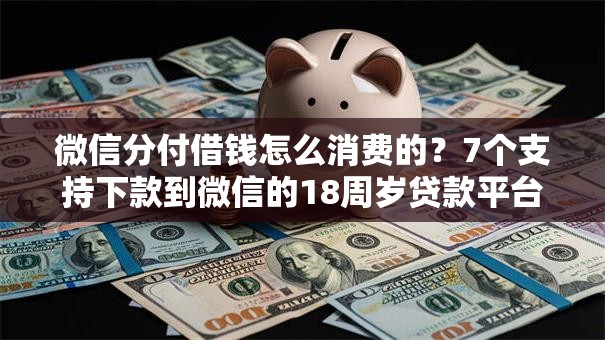 微信分付借钱怎么消费的？7个支持下款到微信的18周岁贷款平台