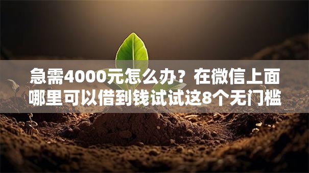 急需4000元怎么办？在微信上面哪里可以借到钱试试这8个无门槛平台