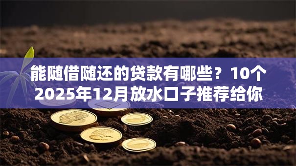 能随借随还的贷款有哪些？10个2025年12月放水口子推荐给你