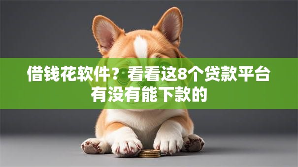 借钱花软件？看看这8个贷款平台有没有能下款的