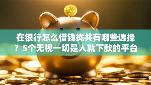 在银行怎么借钱拢共有哪些选择？5个无视一切是人就下款的平台详解