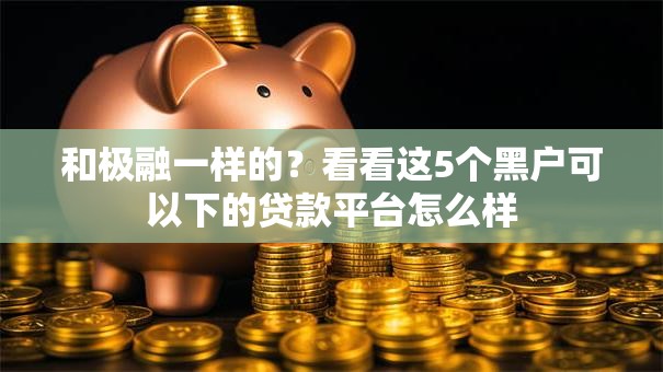 和极融一样的？看看这5个黑户可以下的贷款平台怎么样