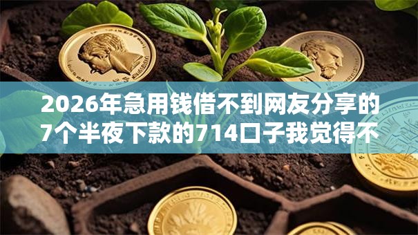 2026年急用钱借不到网友分享的7个半夜下款的714口子我觉得不错！