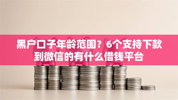 黑户口子年龄范围?6个支持下款到微信的有什么借钱平台 黑户口子年龄范围?6个支持下款到微信的有什么借钱平台
