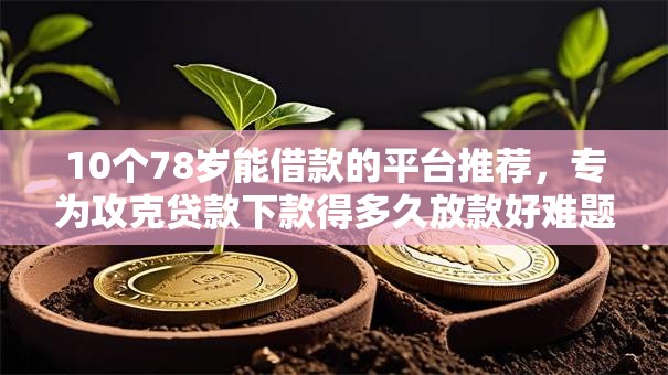 10个78岁能借款的平台推荐，专为攻克贷款下款得多久放款好难题
