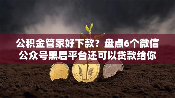 公积金管家好下款?盘点6个微信公众号黑启平台还可以贷款给你参考 公积金管家好下款?盘点6个微信公众号黑启平台还可以贷款给你参考