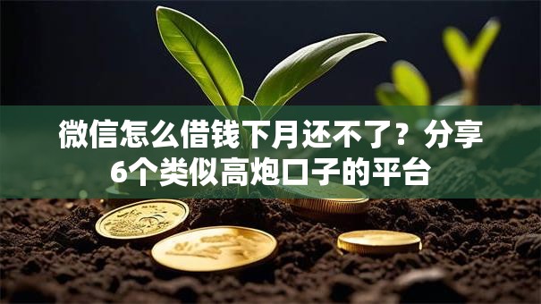 微信怎么借钱下月还不了?分享6个类似高炮口子的平台 微信怎么借钱下月还不了?分享6个类似高炮口子的平台