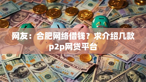 网友：合肥网络借钱？求介绍几款p2p网贷平台