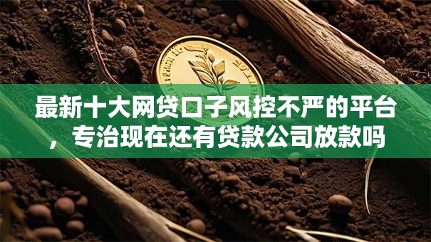 最新十大网贷口子风控不严的平台,专治现在还有贷款公司放款吗 最新十大网贷口子风控不严的平台,专治现在还有贷款公司放款吗