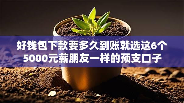 好钱包下款要多久到账就选这6个5000元薪朋友一样的预支口子 好钱包下款要多久到账就选这6个5000元薪朋友一样的预支口子