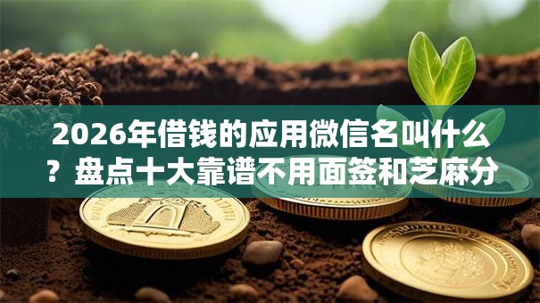 2026年借钱的应用微信名叫什么？盘点十大靠谱不用面签和芝麻分的贷款平台
