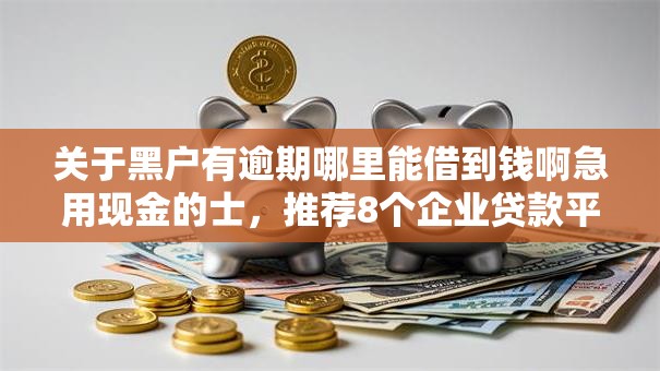 关于黑户有逾期哪里能借到钱啊急用现金的士，推荐8个企业贷款平台好给你