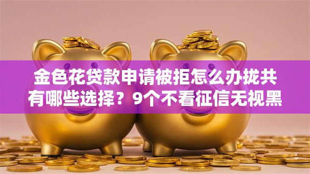 金色花贷款申请被拒怎么办拢共有哪些选择？9个不看征信无视黑白百分百下款详解