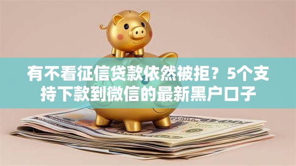 有不看征信贷款依然被拒?5个支持下款到微信的最新黑户口子 有不看征信贷款依然被拒?5个支持下款到微信的最新黑户口子