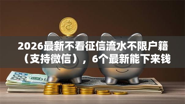 2026最新不看征信流水不限户籍（支持微信），6个最新能下来钱的口子无私分享