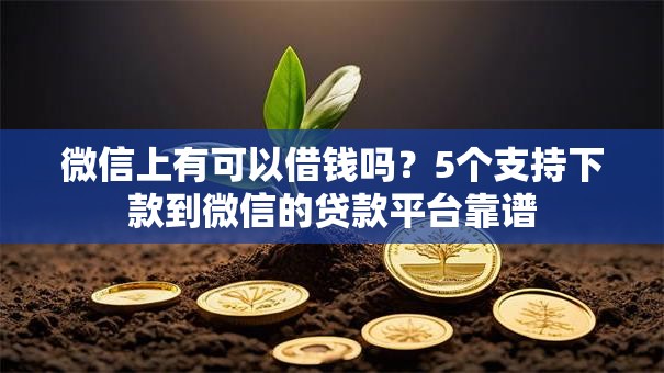 微信上有可以借钱吗?5个支持下款到微信的贷款平台靠谱 微信上有可以借钱吗?5个支持下款到微信的贷款平台靠谱